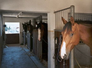 Pensionsstall